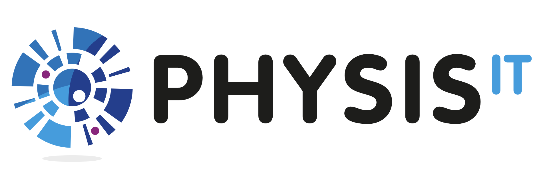 Physis IT Logo